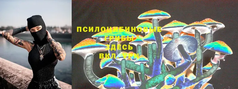 Псилоцибиновые грибы Magic Shrooms  Ясногорск 